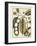 Ivory Botanical Study V-Vision Studio-Framed Art Print