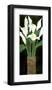 Ivory Calla Lilies-R^ Rafferty-Framed Giclee Print