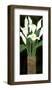 Ivory Calla Lilies-R^ Rafferty-Framed Giclee Print