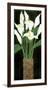 Ivory Calla Lilies-R^ Rafferty-Framed Giclee Print