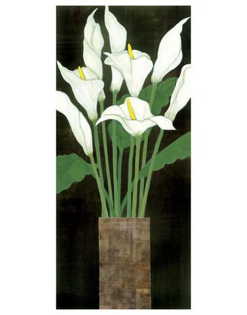 https://imgc.allpostersimages.com/img/posters/ivory-calla-lilies_u-L-F8CW090.jpg?artPerspective=n