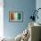 Ivory Coast Flag-budastock-Framed Art Print displayed on a wall