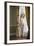 Ivory Drape-Ross Oscar-Framed Photographic Print