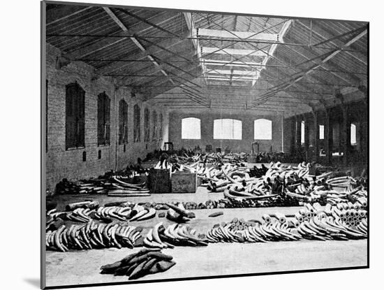 Ivory Floor at London Docks-null-Mounted Photographic Print