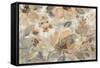 Ivory Floral-Silvia Vassileva-Framed Stretched Canvas