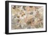 Ivory Floral-Silvia Vassileva-Framed Art Print