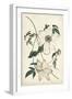 Ivory Garden II-Curtis-Framed Art Print