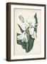 Ivory Garden IV-Curtis-Framed Art Print