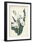 Ivory Garden IV-Curtis-Framed Art Print