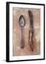 Ivory Handle-Den Reader-Framed Photographic Print