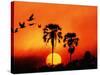 Ivory Palm and Pelicans at Sunset in Botswana-null-Stretched Canvas