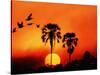 Ivory Palm and Pelicans at Sunset in Botswana-null-Stretched Canvas