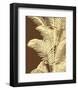 Ivory Palm-Mali Nave-Framed Art Print