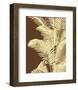 Ivory Palm-Mali Nave-Framed Art Print