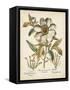Ivory Peonies I-Besler Basilius-Framed Stretched Canvas
