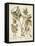 Ivory Peonies IV-Besler Basilius-Framed Stretched Canvas