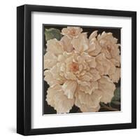 Ivory Peonies-Janet Kruskamp-Framed Art Print