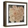 Ivory Peonies-Janet Kruskamp-Framed Art Print