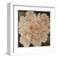 Ivory Peonies-Janet Kruskamp-Framed Art Print