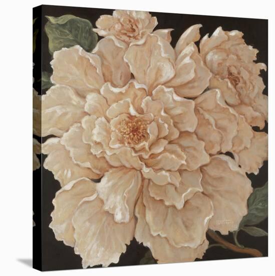 Ivory Peonies-Janet Kruskamp-Stretched Canvas