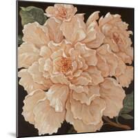 Ivory Peonies-Janet Kruskamp-Mounted Premium Giclee Print