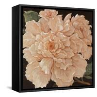 Ivory Peonies-Janet Kruskamp-Framed Stretched Canvas