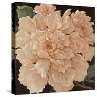 Ivory Peonies-Janet Kruskamp-Stretched Canvas