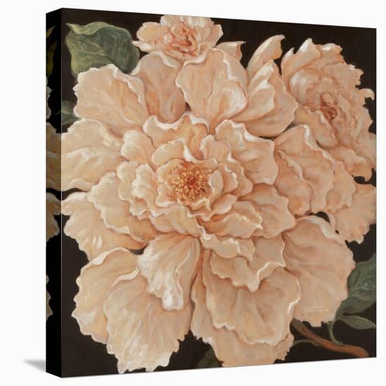 Ivory Peonies-Janet Kruskamp-Stretched Canvas