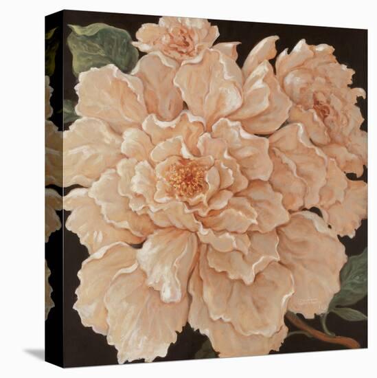 Ivory Peonies-Janet Kruskamp-Stretched Canvas