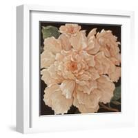 Ivory Peonies-Janet Kruskamp-Framed Art Print