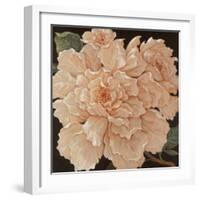 Ivory Peonies-Janet Kruskamp-Framed Art Print