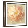 Ivory Romance I-Amy Melious-Framed Art Print