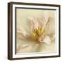 Ivory Romance II-Amy Melious-Framed Art Print