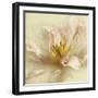 Ivory Romance II-Amy Melious-Framed Art Print