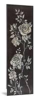 Ivory Roses II-Susan Jeschke-Mounted Premium Giclee Print