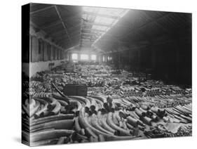 Ivory Sale in Warehouse-null-Stretched Canvas