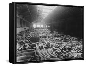 Ivory Sale in Warehouse-null-Framed Stretched Canvas
