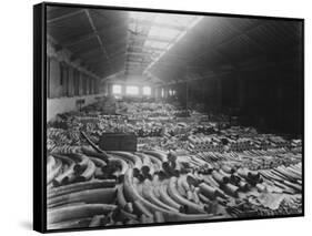 Ivory Sale in Warehouse-null-Framed Stretched Canvas