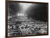 Ivory Sale in Warehouse-null-Framed Photographic Print