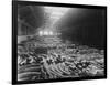 Ivory Sale in Warehouse-null-Framed Photographic Print