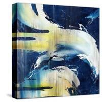 Ivory Splash-Rikki Drotar-Stretched Canvas