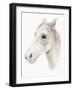 Ivory Stallion II-Annie Warren-Framed Art Print