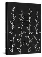 Ivory Vines I-Michael Willett-Stretched Canvas