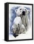 Ivory-Barbara Keith-Framed Stretched Canvas