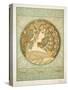 Ivy, 1901-Alphonse Mucha-Stretched Canvas