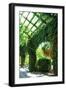 Ivy 1-Alan Hausenflock-Framed Photographic Print