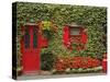 Ivy Covered Cottage, Town of Borris, County Carlow, Leinster, Republic of Ireland, Europe-Richard Cummins-Stretched Canvas