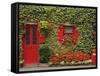 Ivy Covered Cottage, Town of Borris, County Carlow, Leinster, Republic of Ireland, Europe-Richard Cummins-Framed Stretched Canvas