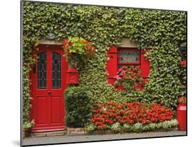 Ivy Covered Cottage, Town of Borris, County Carlow, Leinster, Republic of Ireland, Europe-Richard Cummins-Mounted Photographic Print