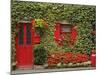 Ivy Covered Cottage, Town of Borris, County Carlow, Leinster, Republic of Ireland, Europe-Richard Cummins-Mounted Photographic Print